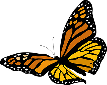 Butterfly illustration by Karen Little