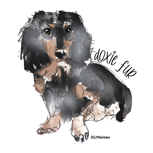 Doxie Fur illustration by Karen Little of Littleviews