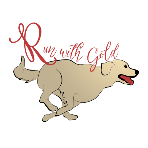 Run With a Golden Retriever illustration by Karen Little of Littleviews