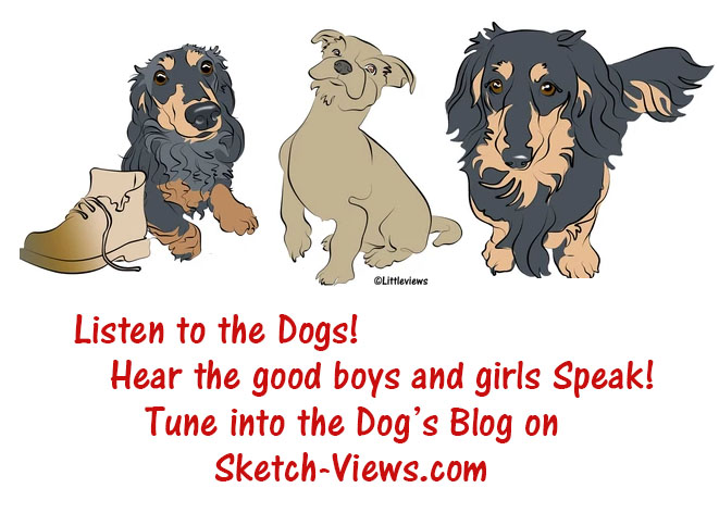 Dog's Blog by Karen Little - here our dogs speak!